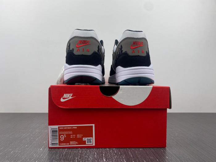 Nike Air Max 1 "Escape"  Air Max 1 FJ0698-100