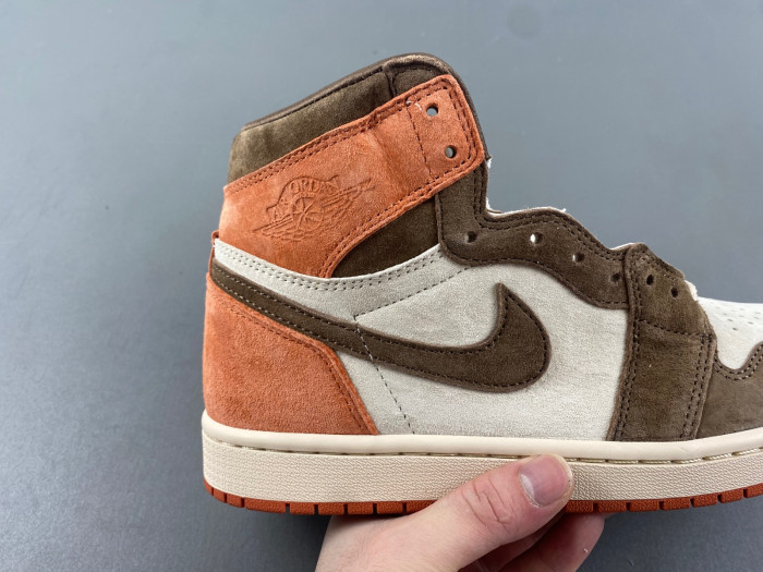 Air Jordan 1 Retro High OG SP Dusted Clay FQ2941-200