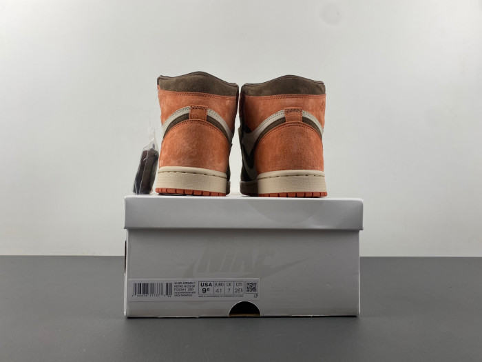 Air Jordan 1 Retro High OG SP Dusted Clay FQ2941-200
