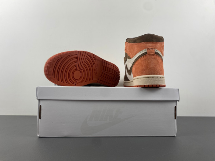 Air Jordan 1 Retro High OG SP Dusted Clay FQ2941-200