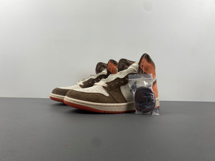 Air Jordan 1 Retro High OG SP Dusted Clay FQ2941-200