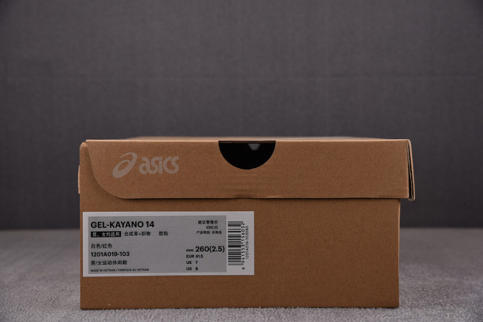 Asics Shoes